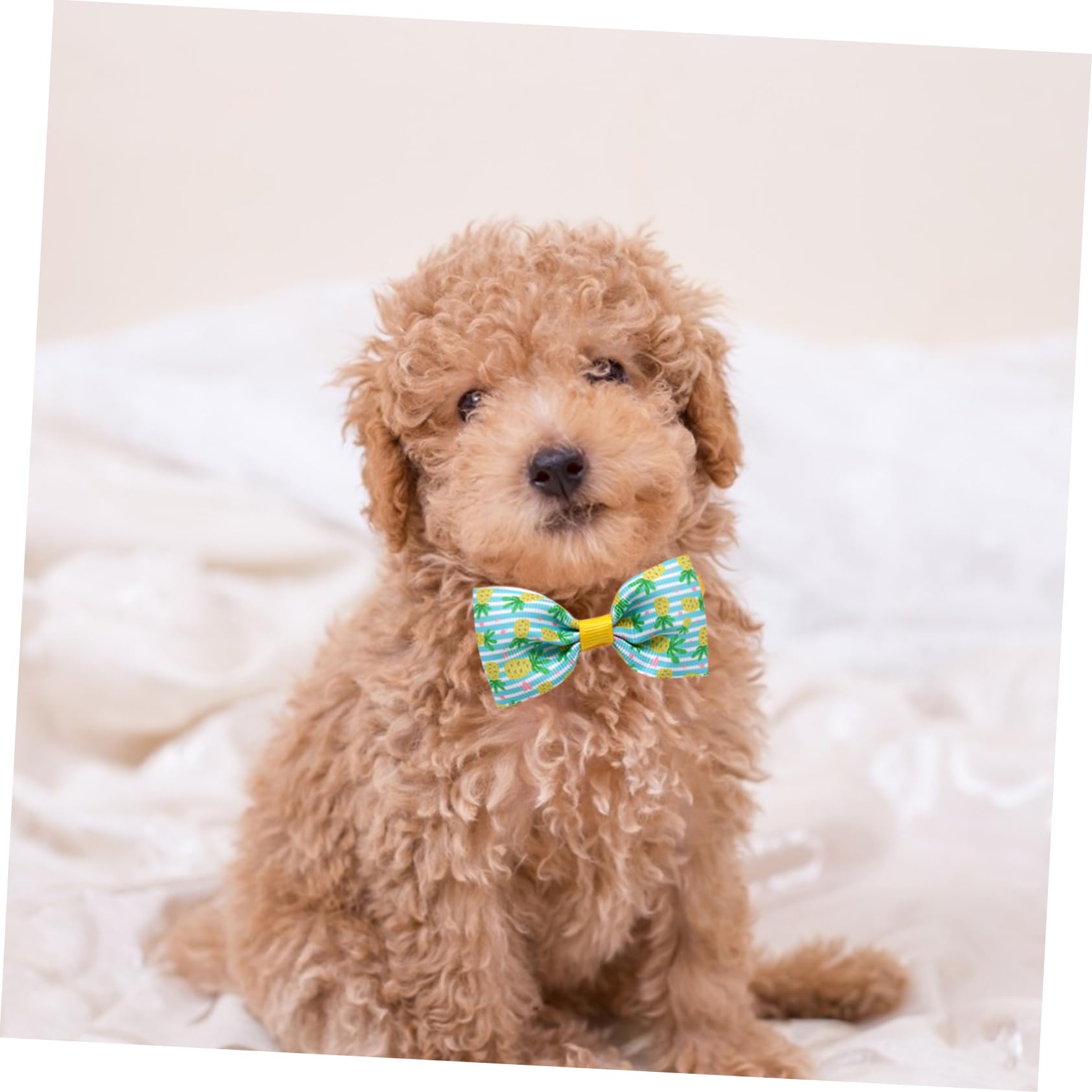 Amosfun 48stücke Teiliges Verstellbare Hundehalsbänder Mit Bunten Fliegen Für Kleine Und Mittelgroße Hunde Für Partys Hochzeiten Und Fotoshootings Langlebig Und Komfortabel