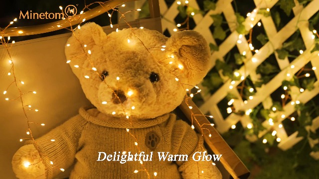 Image of Outdoor Fairy Lights Battery Operated, Twinkle String Lights with Remote, 5 Feet 60 LEDs Firecracker Starry Lights for DIY Wreath Wedding Party Bedroom Mason Jar Holiday Christmas, Warm White
