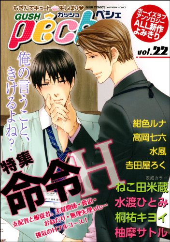 Amazon Com Gushpeche 命令h Gush Comics Japanese Edition Ebook 桐祐 キヨイ 水渡 ひとみ 水風 高岡 七六 柚摩 サトル 吉田屋 ろく 紺色 ルナ Kindle Store