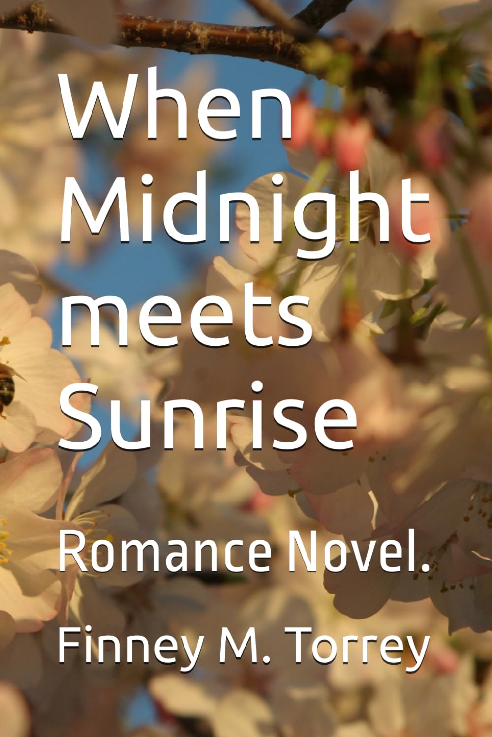 When Midnight meets Sunrise: Romance Novel.