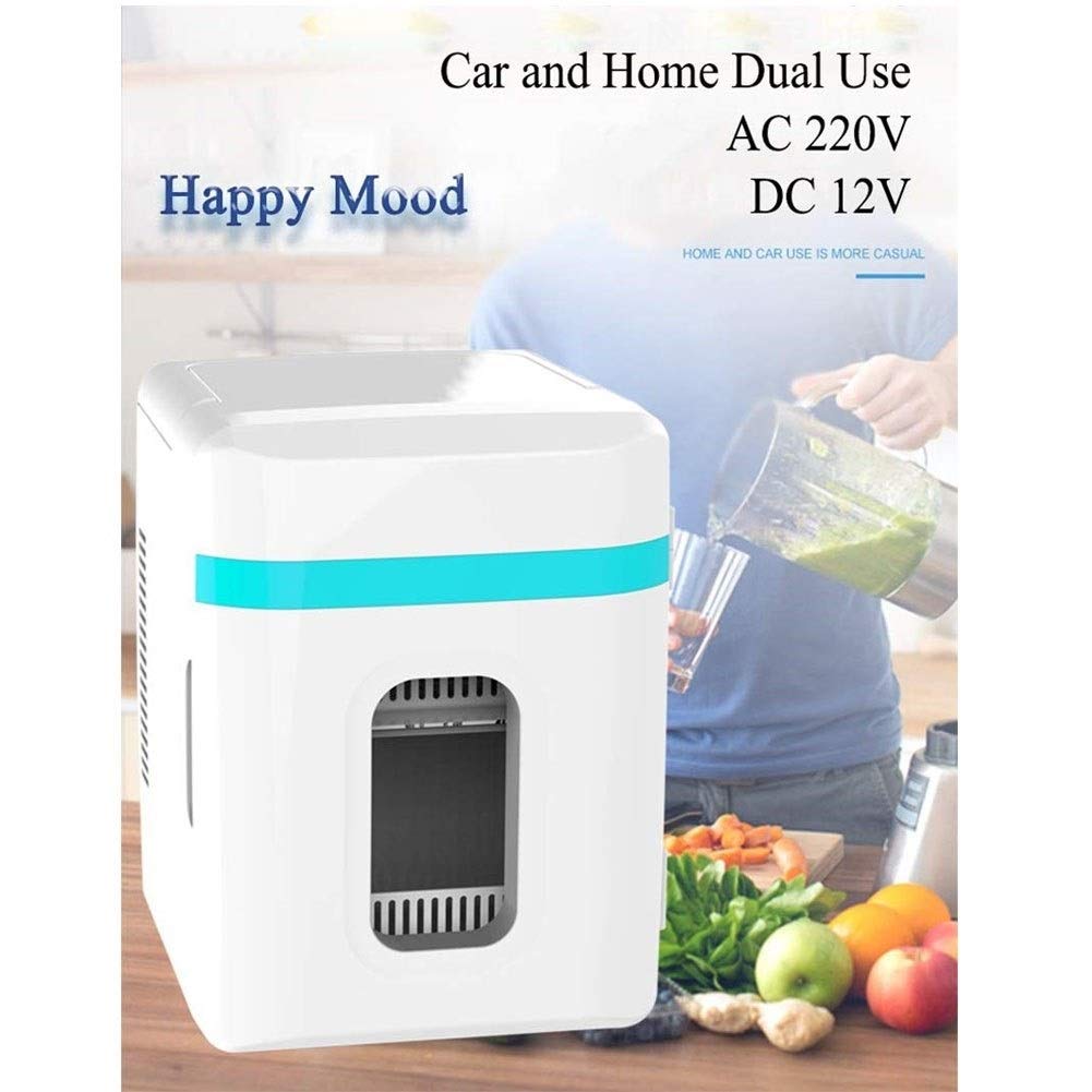 Car Cooler Frigo Portatile, Mini Frigorifero per Auto da 10 L, 2 in 1 Congelatore per Macchina Elettrico Caldo E Freddo, DC12/AC 220 V per Campeggio, Viaggi, Picnic e Auto (Color : 1)
