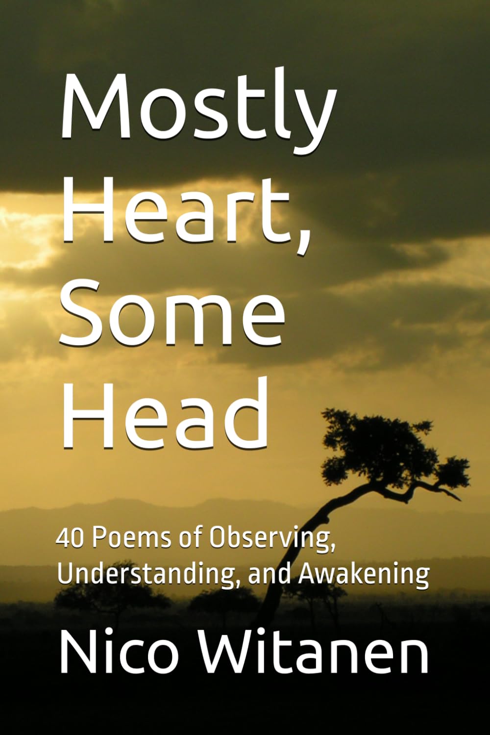 Mostly Heart, Some Head: 40 Poems of Observing, Understanding, and Awakening