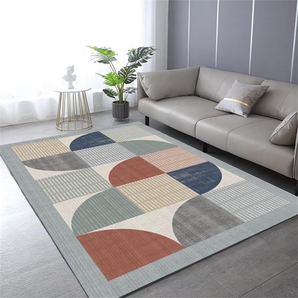 Tapis de chambre lavable et doux de 200x250cm idéal pour un grand salon