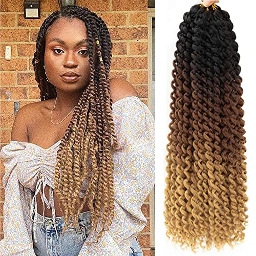 Ombre Passion Twist Hair 18 Inch 8 Packs Water...