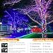Joomer Fairy String Lights 66FT 200 LEDs Plug in Fairy Lights Indoor Copper Wire String Light DIY for Bedroom, Parties, Wedding, Christmas, Outdoor, Indoor Decoration (Multicolor, Non-Connectable)