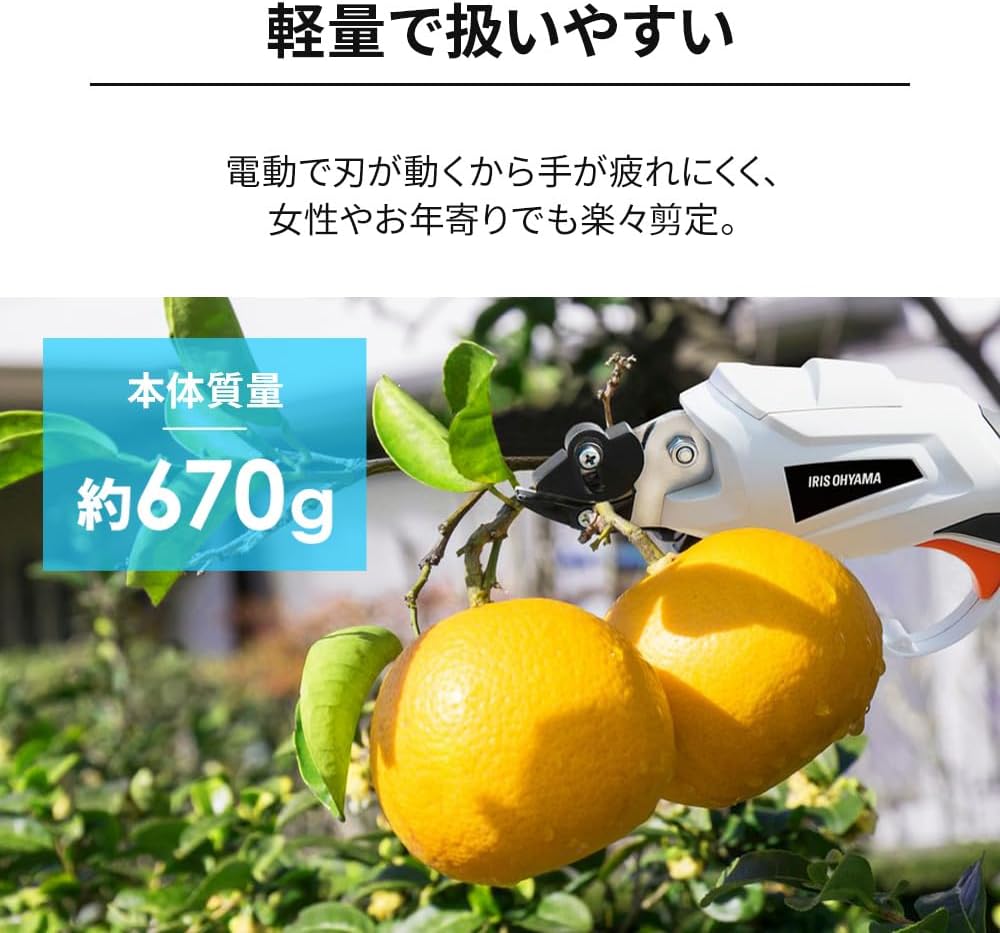 アイリスオーヤマ 充電式高枝剪定バサミ JTH10 高枝切りバサミ 充電式
