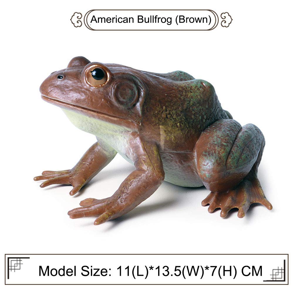 JOKFEICE Lot De 8 Grenouilles Grinçantes Réalistes – Figurines Pour Projets Scientifiques, Déco De Gâteau Et Cadeau Enfant