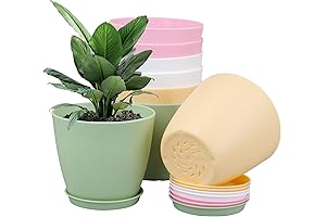 8Pack 4inch Small Nursery Plant Pots
