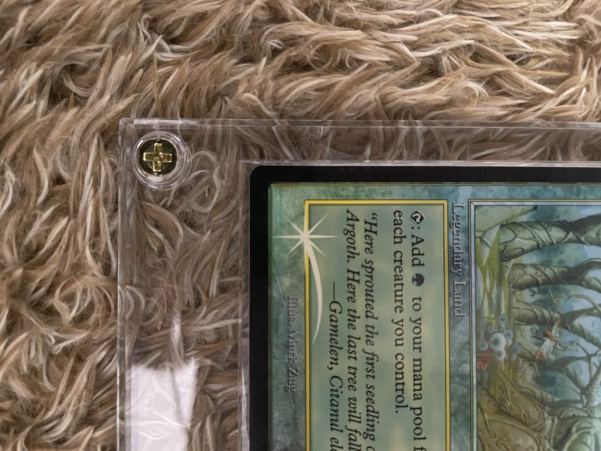 Amazon.co.jp: MTG ガイアの揺籃の地 foil ジャッジ褒賞 : おもちゃ