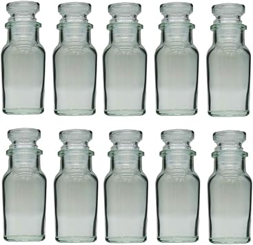 Glass Spice Bottles Wagner Bins with Glass Lids 60ml -Set of 10 -