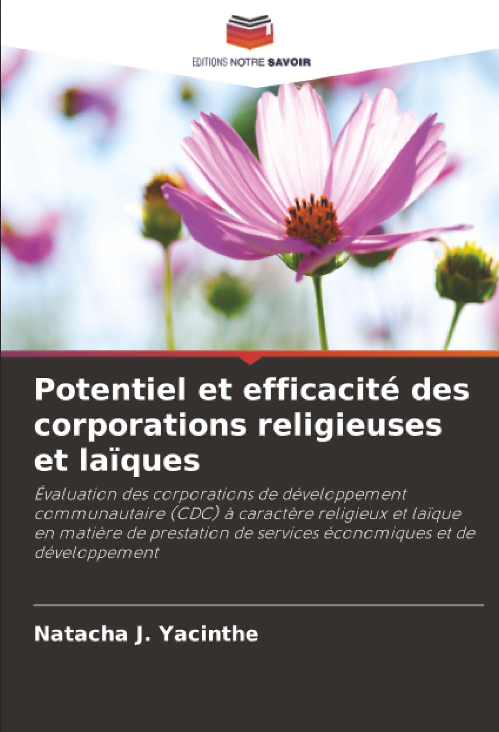 Potentiel et efficacité des corporations religieuses et laïques: Évaluation des corporations de développement communautaire (CDC) à caractère ... de services économiques et de développement