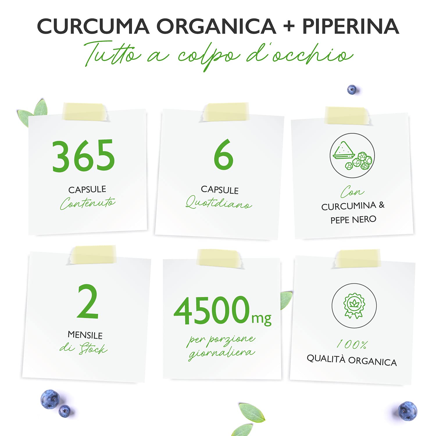 Vit4ever Bio Curcuma - 365 capsule vegane - 4560 mg (curcuma biologica + pepe nero) per dose giornaliera - Con curcumina e piperina - Altamente dosato - Vegan