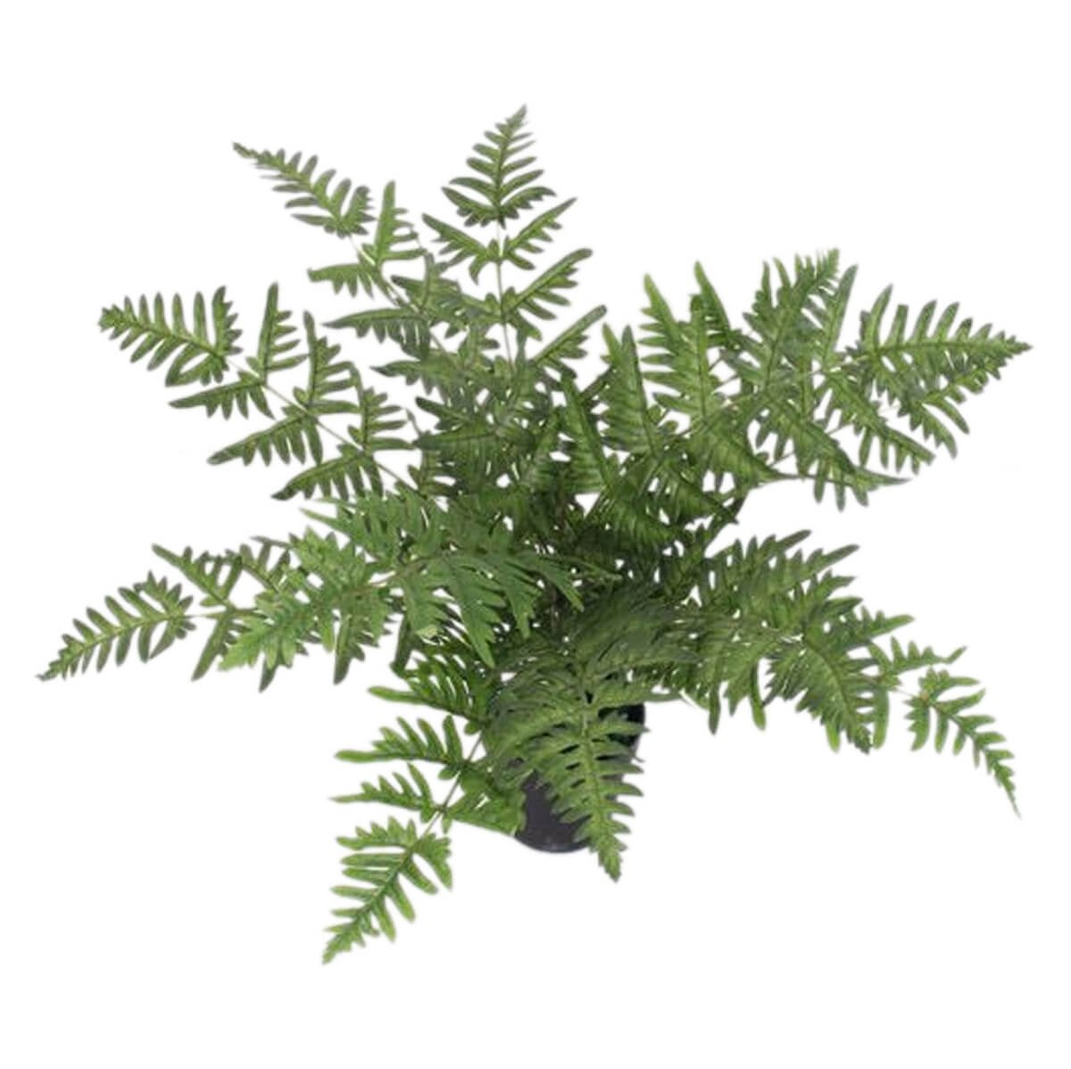 Leaf Artificial Fern Plant - 1.6ft