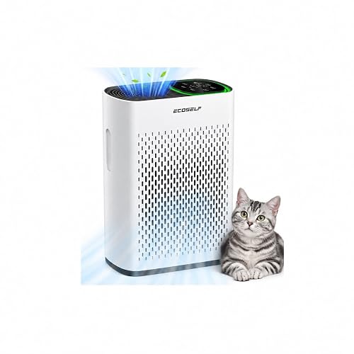ECOSELF HAP602 Large Room Air Purifier