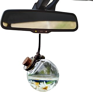 車の香水瓶をぶら下げ | ハンギングカーエアフレッシュナー 空のガラスボトル ペンダントオーナメント ドライフラワー付き - バックミラーアクセサリー 室内用吊るし 香水 芳香剤 Homechen
