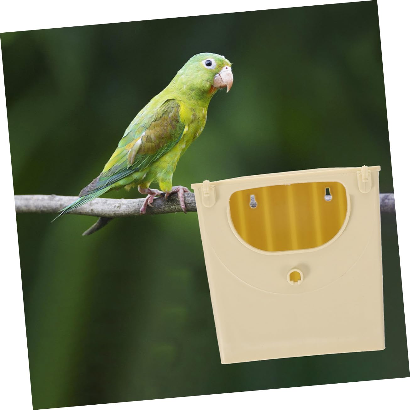 VICASKY 5 Stück Teiliges Parakeet Nistkasten aus Robustem Kunststoff Glatte Oberfläche Einfach zu Reinigen Geeignet für Wellensittiche Papageien und Kleine Vögel Praktisches Vogelbruthaus