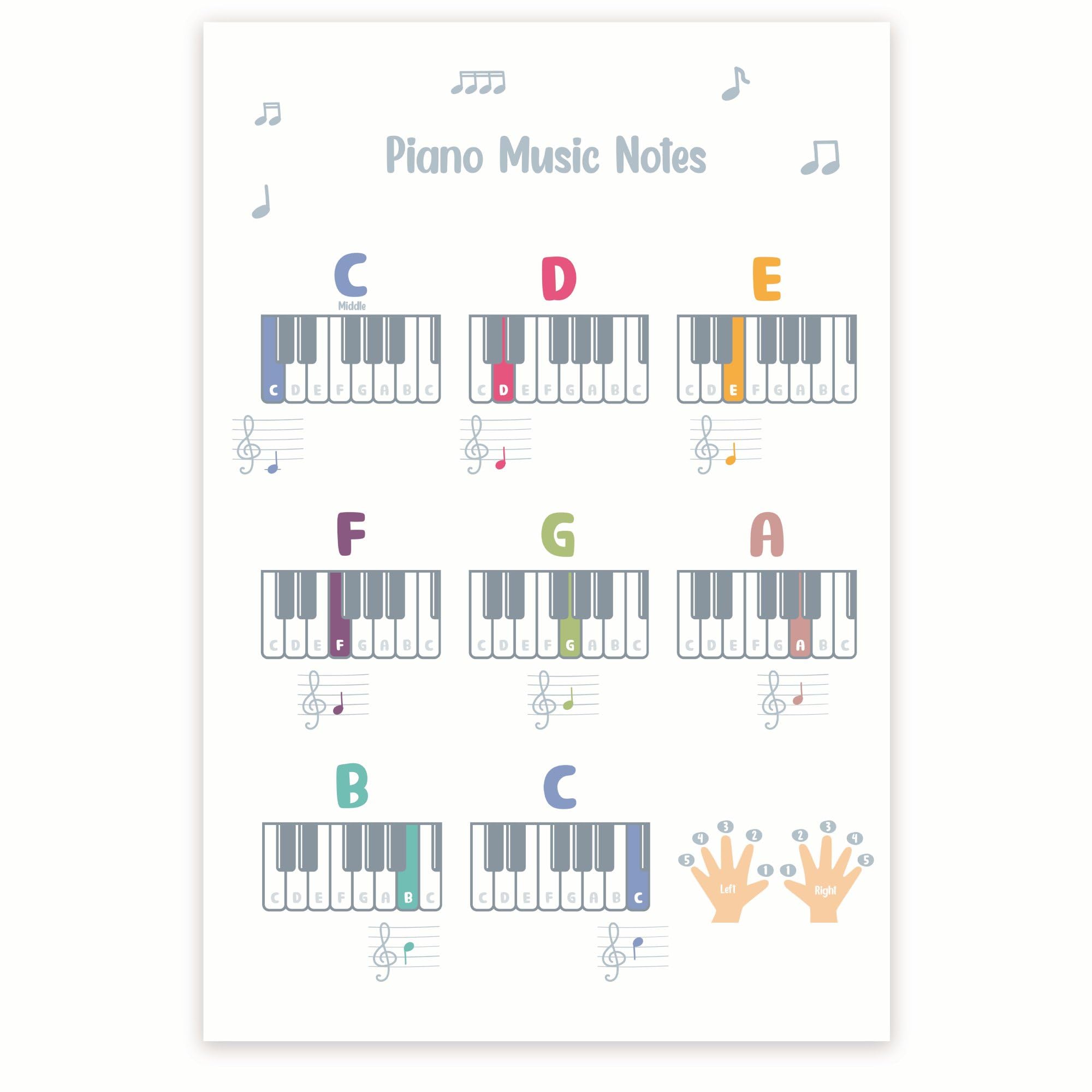 Piano Music Notes Poster - Piano Playing Instruction Infographic - Music Classroom Poster - Music Notes - 12 x 18 Inch Poster - Unframed - Premium