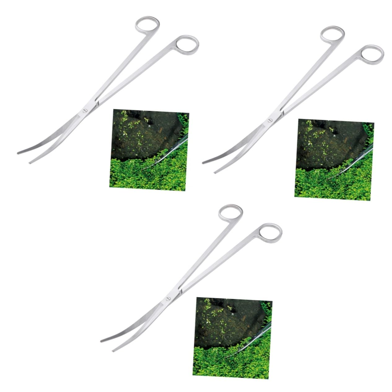Mipcase 3stücke Pflanzenschere Mit Gebogenem Ende Für Aquarienpflanzen Rostfreie Scherenspitzen Für Präzises Trimmen Und Aquascaping Von Wasserpflanzen