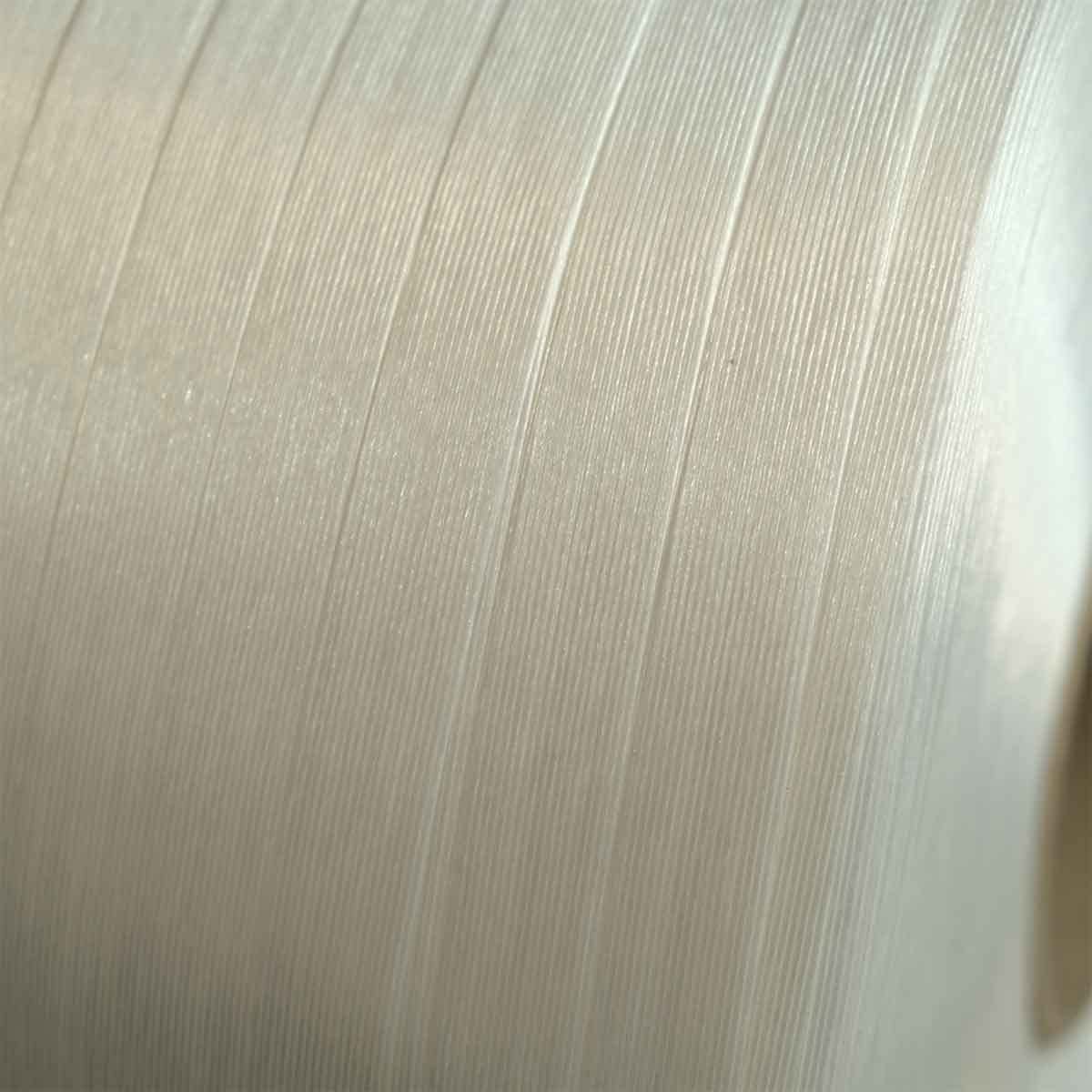 Reggia Tessile Filo a filo 13 mm x 1100 m - Qualità PRO TECPLAST FF - Alta resistenza 375 kg - Reggia con fili incollati