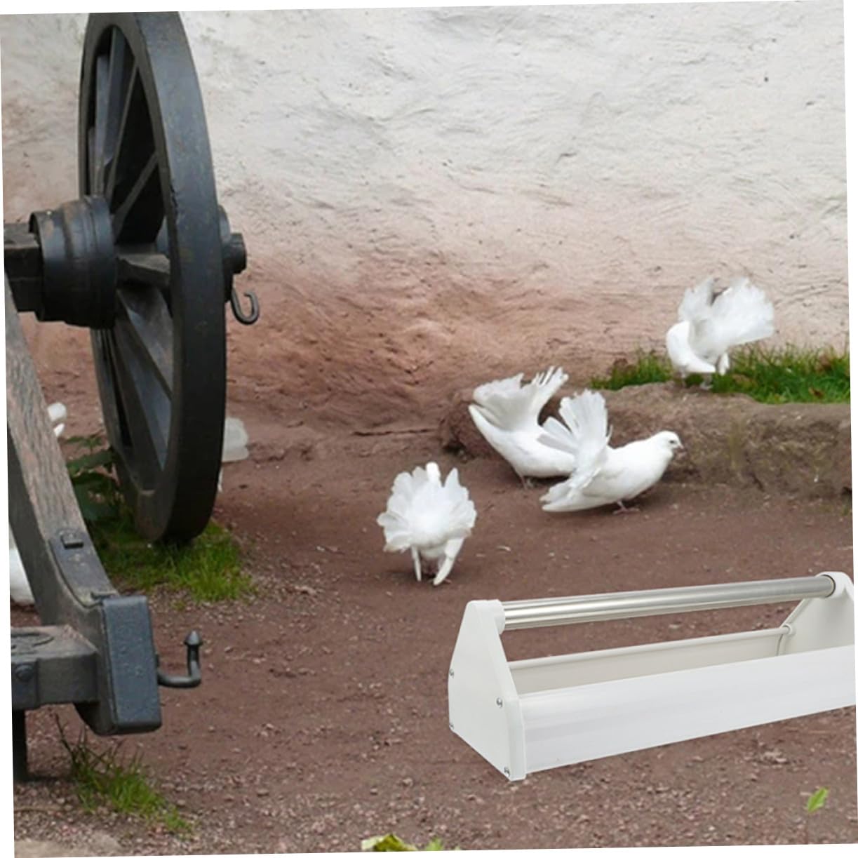 Mangeoire Facile à Nettoyer Plastique Résistant et Acier Inoxydable Lot de 2 Pièces pour Pigeon en Oiseaux en Intérieur Champs