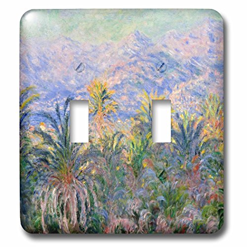 Tapa de interruptor doble con acabado artístico de Monet 3