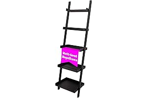 Kiera Grace Providence Hadfield 5 Tier Ladder Leaning Wall Shelves
