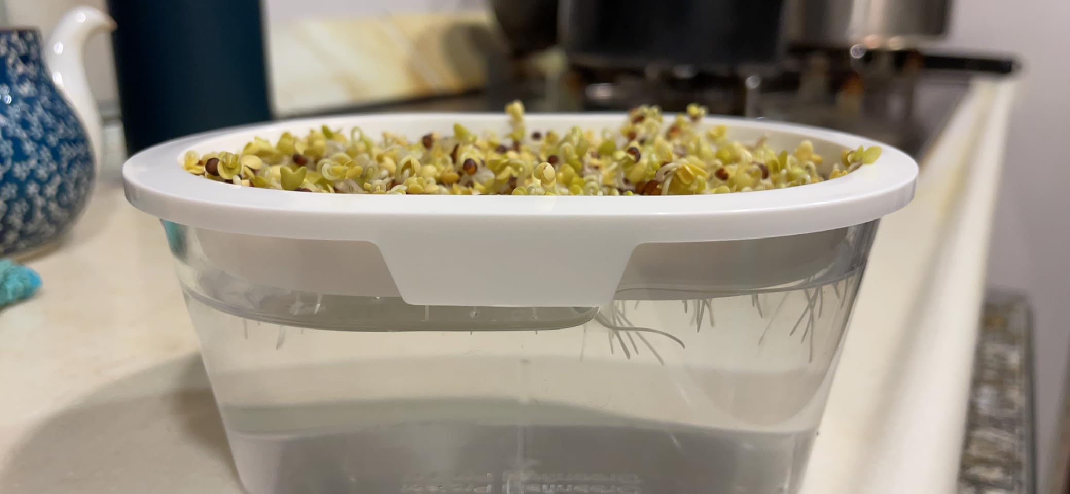 お客様イメージ