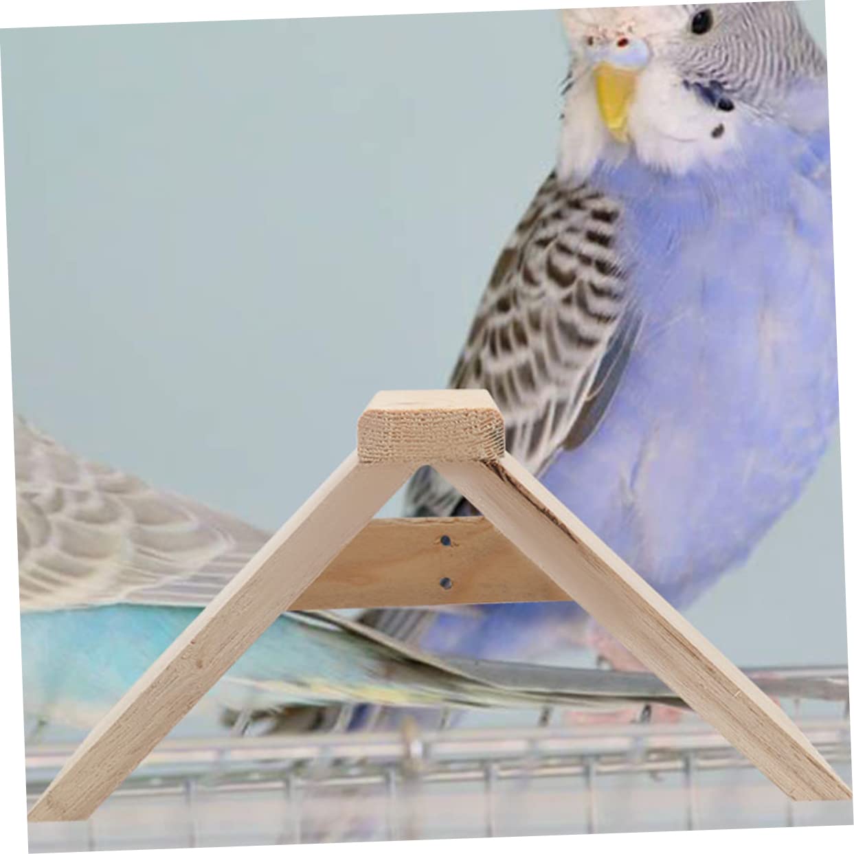 COLLBATH Lot De 5 Perchoirs à Pigeons en Bois Naturel Support Stable pour Oiseaux Surface Lisse Polie Adapté Cages à Oiseaux Et Pigeonniers Accessoire De Loisirs pour Perroquets Et