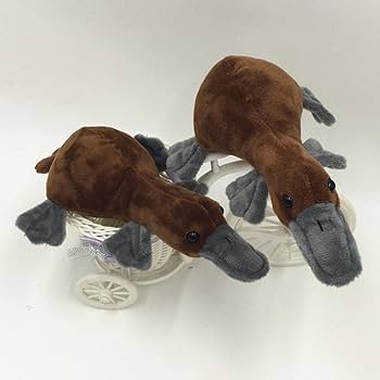 Amazon.co.jp: カモノハシぬいぐるみ,カモノハシぬいぐるみ