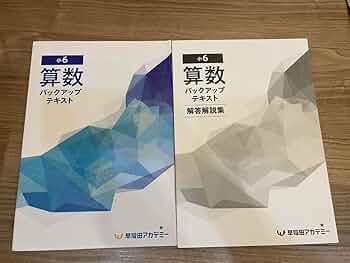 早稲田アカデミー 小学5年生+小学6年生 テキスト85冊セット 早稲田アカデミー 小学5年生+小学6年生 テキスト85冊セット