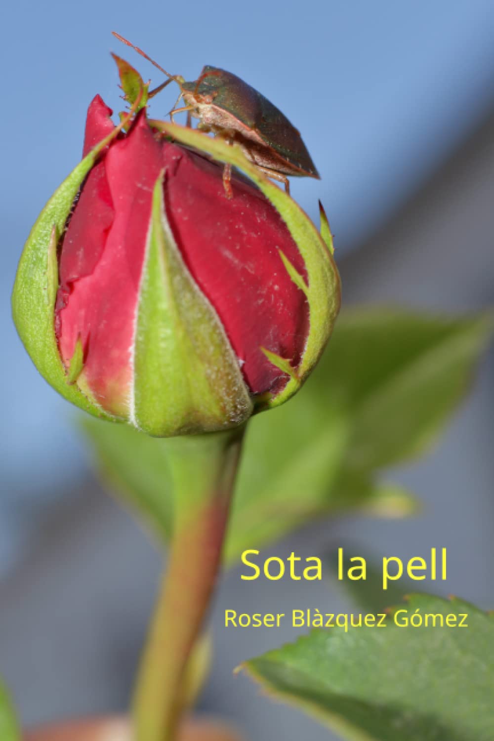 Sota la pell (Catalan Edition)
