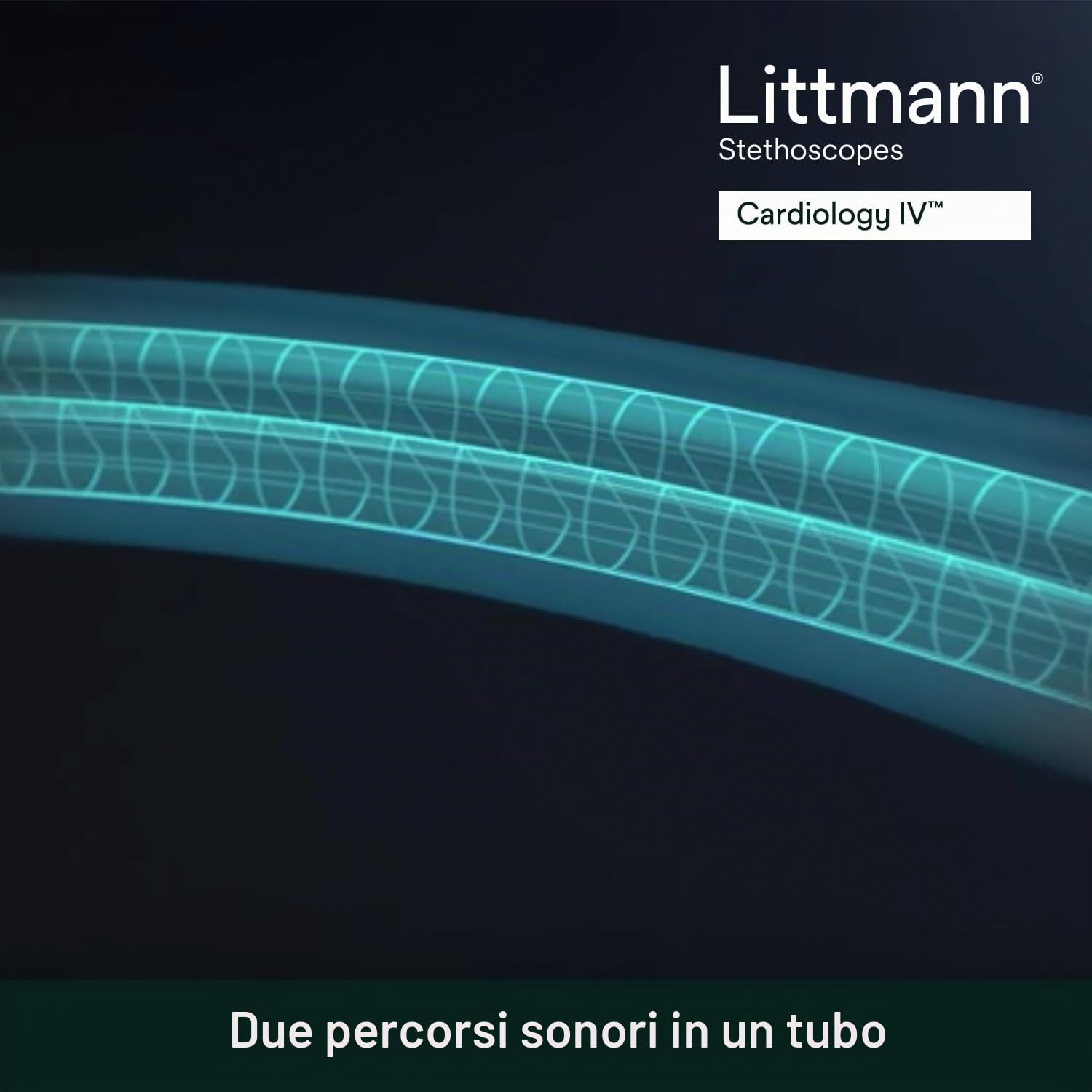 3M Littmann Stetoscopio diagnostico Cardiology IV, tubo auricolare amaranto, 69 cm, 6184