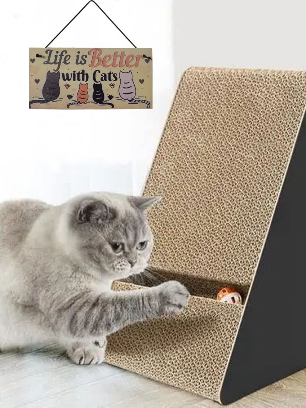 10x20cm targa in legno per gatti targa appesa piatti pendenti