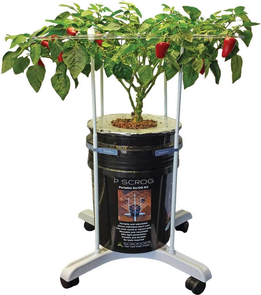 P Scrog Primary Portable Kit (Exceptional Value 6 Pack, Save 15%)