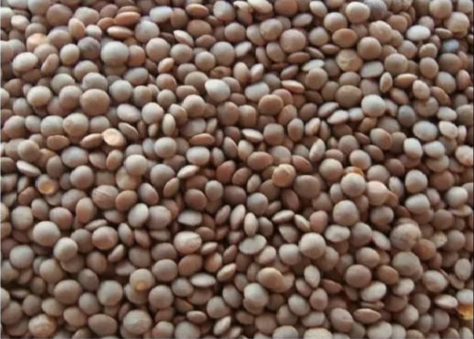 KTD Gopala Unpolished Whole Red Masoor 2 x 1 kg