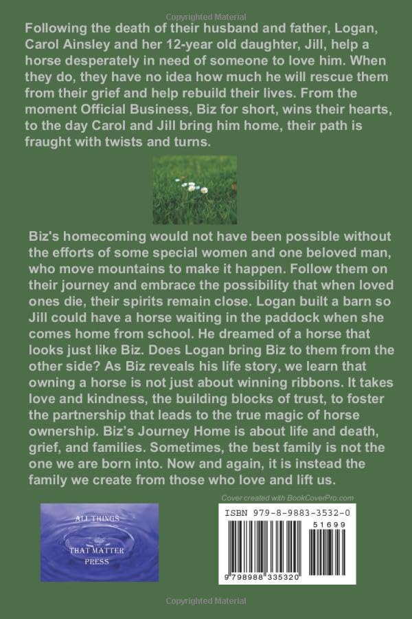 Miniatura 2 de Biz's Journey Home