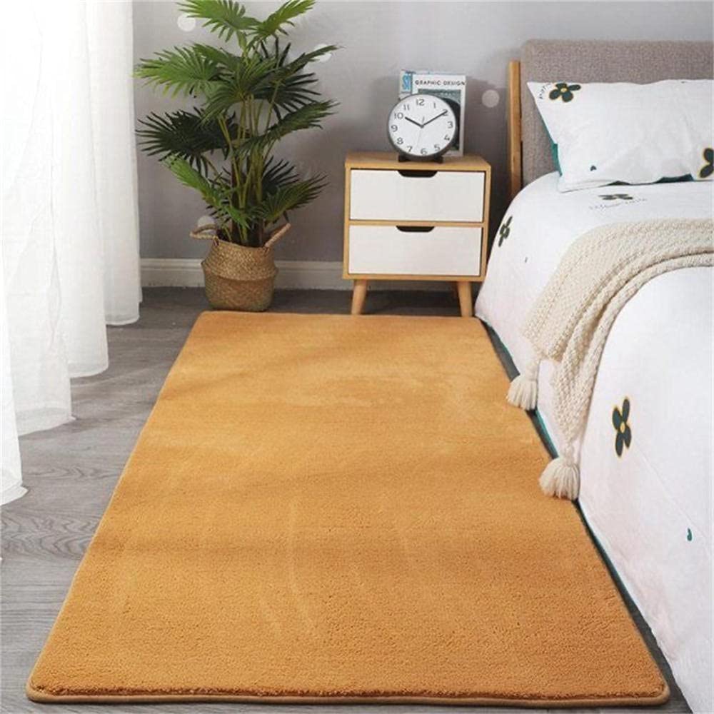 Tapis salon moderne grand tapis doux chambre LUNEZY