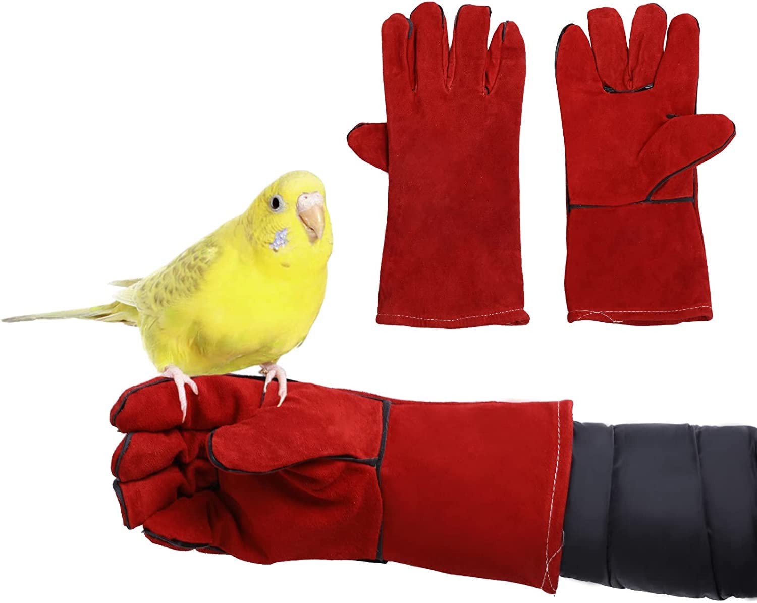 ViiTangParrot Cowhide Chewing Handling Safety Protective Gloves, Bird Training Anti-Scratch/Bite Gloves for Parakeets Cockatiels Conures Lovebirds Parrotlets Finch Macaw African Budgies Parakeet