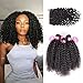 ISEE Hair Virgin Malaysian Deep Curly Jerry Curly Human Hair 3 Bundles With 4x4 Free Part Lace Closure,100% Unprocessed Human Curly Hair Extensions(16