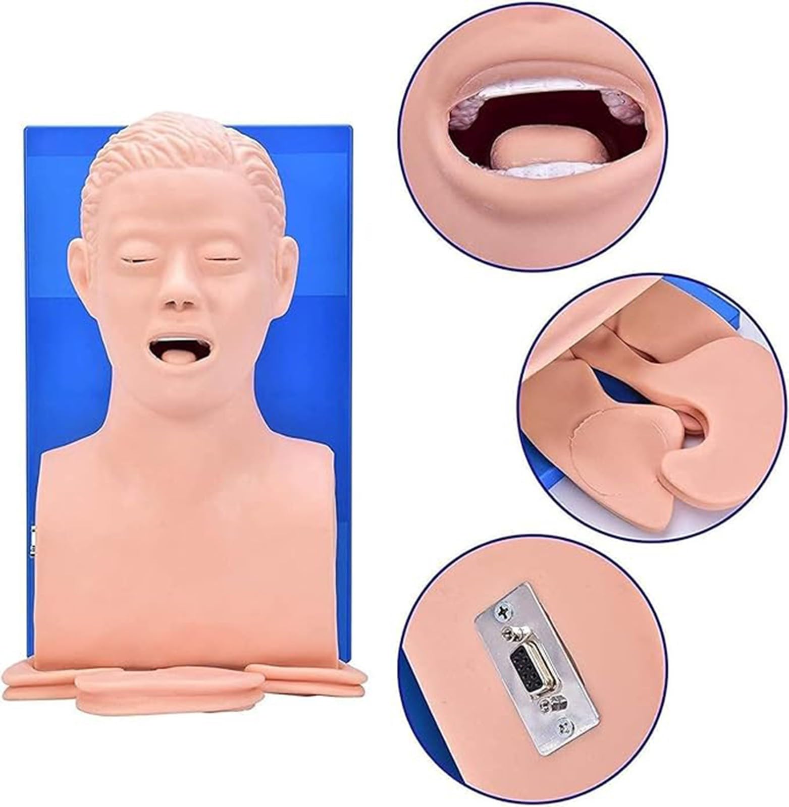 Manichino Adulto Di Addestramento Di Intubazione Manichino Delle Vie Aeree Modello Manichino Di Intubazione Adulto Del PVC, Educazione Del Laboratorio Scientifico A