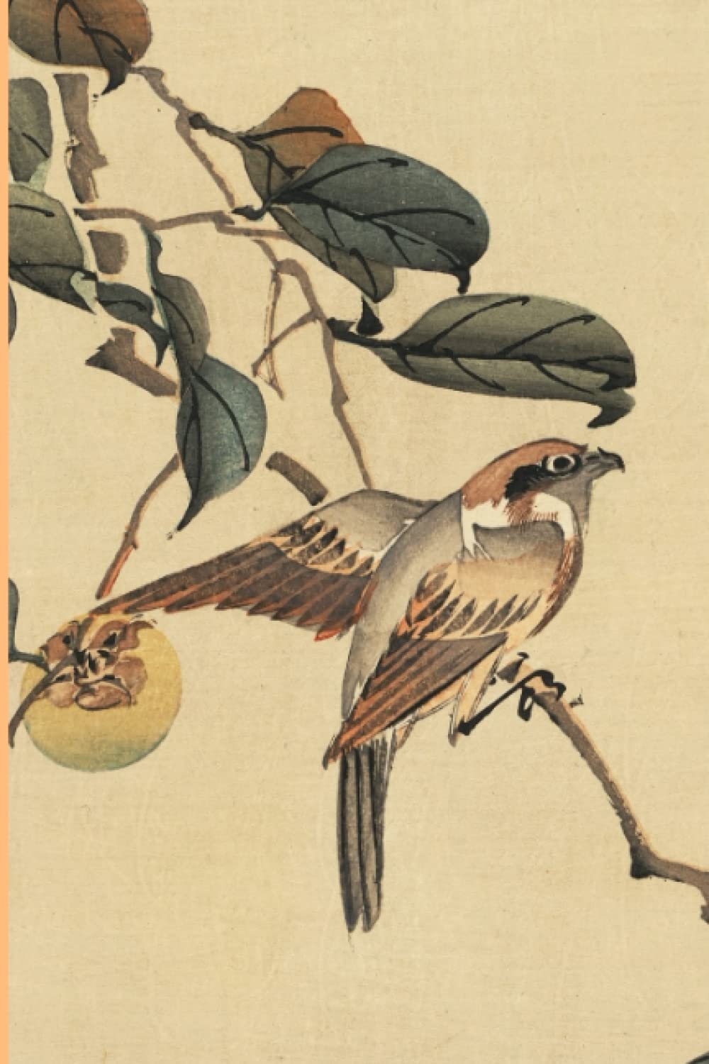 Composition Notebook - Bird Background - 120 Lined Pages Notebook - Compact Size 6"x9" - Easy to Use & Easy to Carry Around: Journal - Record, Write, ... - Gift for Bird Watching & Nature Observers