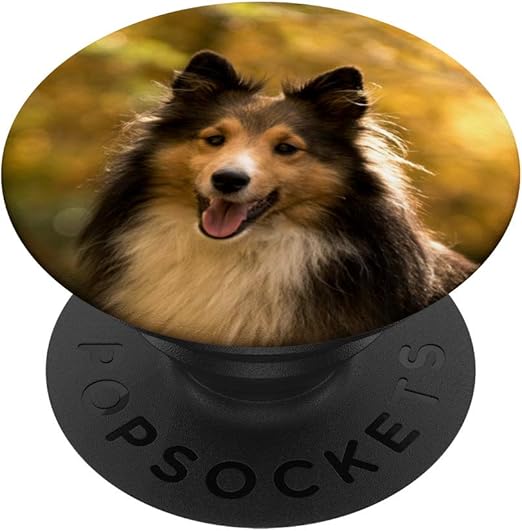 sheltie gifts