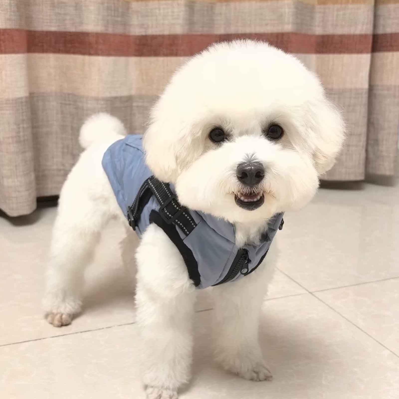 Abrigo para Perro Invierno, Chaqueta Impermeable para Perros, Chaqueta para Perros con Arnés, Chaleco Cálido para Pequeña Perro,Rosado,S