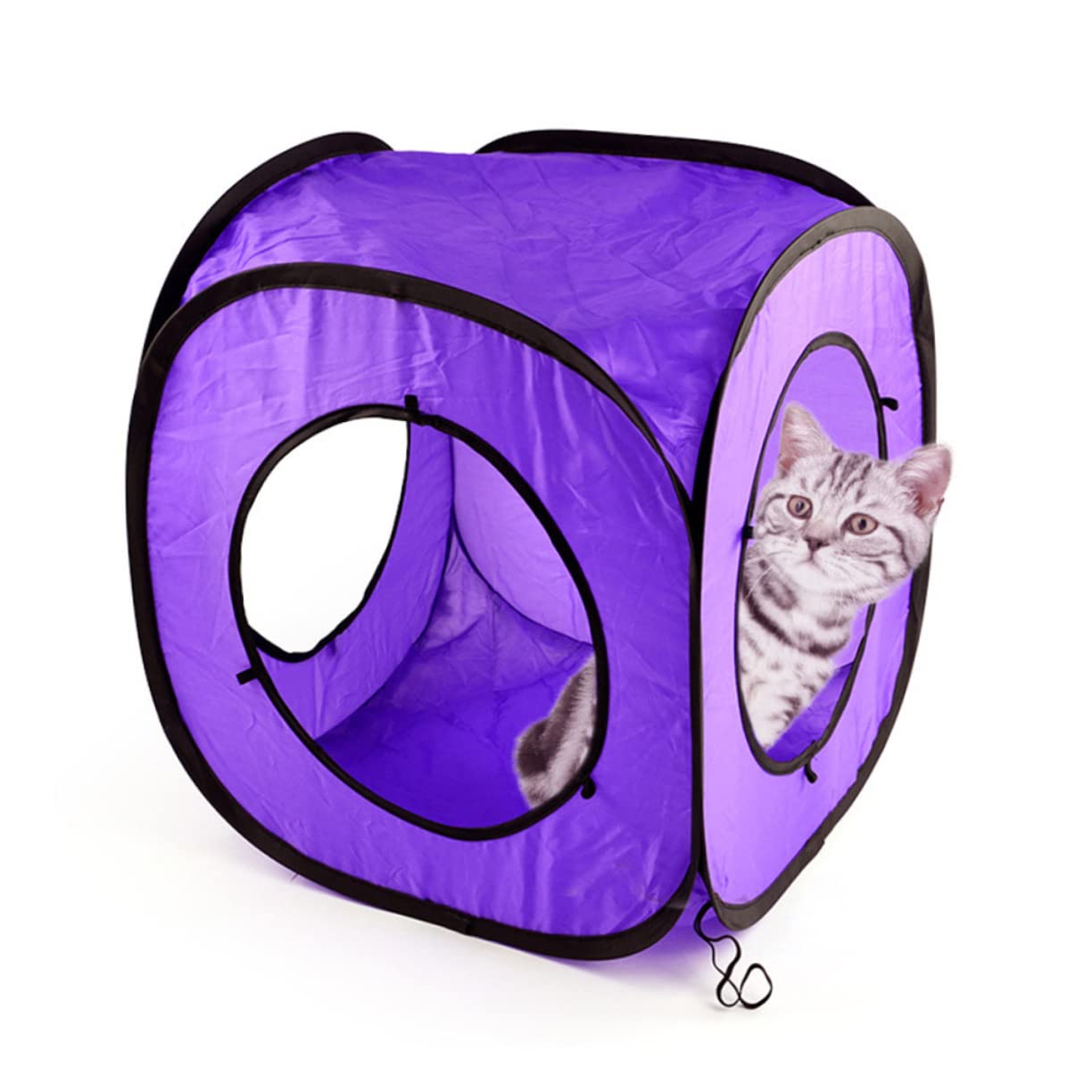 Jouet Tubulaire pour Chaton à Double Canal, Lot de 3 Set de Set de Pcs