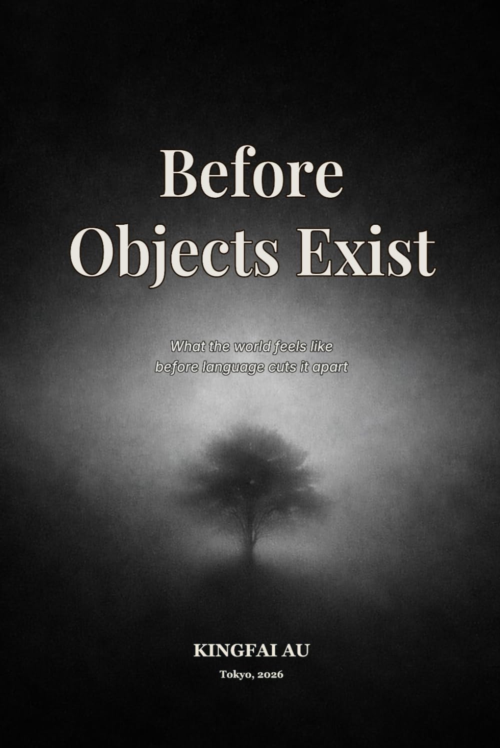 Before Objects Exist: What the world feels like before language cuts it apart
