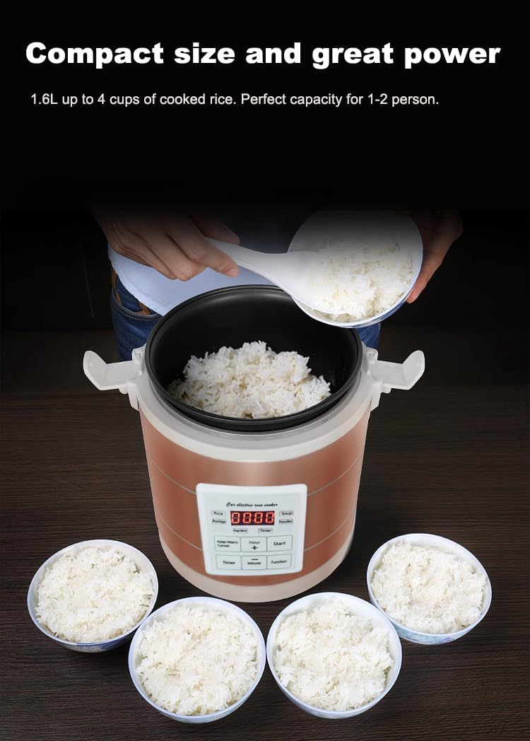 1.6L Rice Cooker 12V-24V Electric Lunch Box Manufacturer Multicooker Small Rice Stove for Car Truck RV Travel Camping Gold (1601)