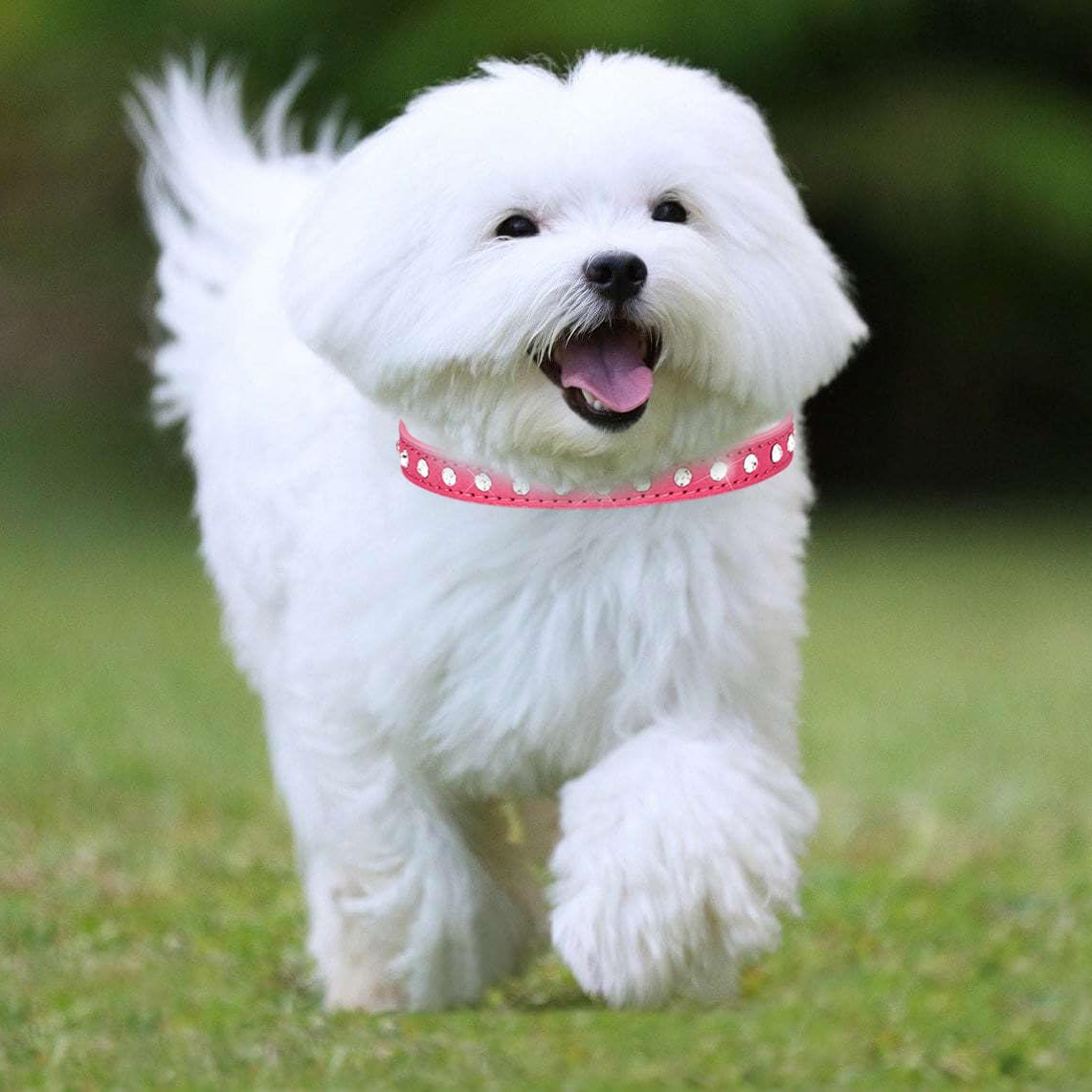 Collare Per Cani Con Diamanti Sintetici - Regolabile, Taglia S (27-33cm), Rosso, PU Ipoallergenico