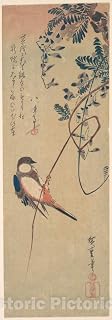 Art Print : Utagawa Hiroshige - Bird and Wisteria : Vintage Wall Décor : 08in x 24in