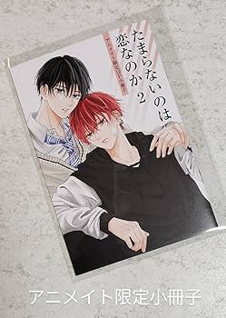 たまらないのは恋なのか ①②③④ アニメイト 小冊子付 たまらないのは恋なのか ①②③④ アニメイト 小冊子付 たまらないのは