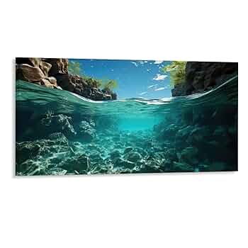 Amazon.com: 8x16 Canvas Wall Art, Blue Swim Swimming Ocean